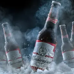 Butelki piwa Budweiser w lodzie i dymie. Czy można pić piwo które zamarzło? To pytanie pozostaje otwarte, ale zimne piwo zawsze smakuje wybornie.
