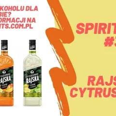 Rajska wódka ile procent? Sprawdź moc różnych wariantów!