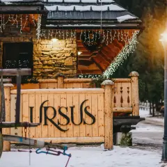 Gdzie kupić piwo Ursus? Sprawdź najlepsze miejsca i ceny