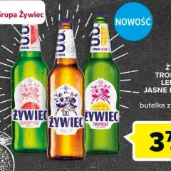 Ile kosztuje piwo Żywiec? Sprawdź ceny i najlepsze oferty w sklepach