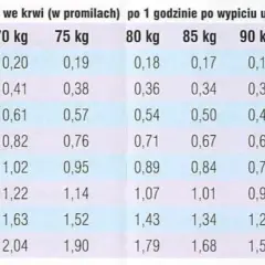 Ile alkoholu po jednym piwie? Zaskakujące fakty o promilach w krwi
