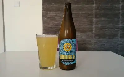 Szklanka i butelka piwa miodowego bezalkoholowego Unplugged IPA na białym stole.