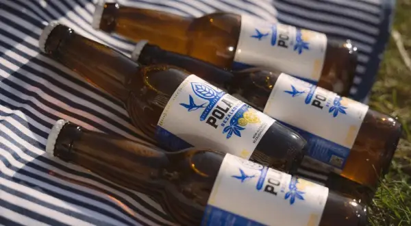 Butelki piwa bezalkoholowego na kocyku. Szukasz piwa, które ma najmniej węglowodanów? Te butelki mogą być odpowiedzią.