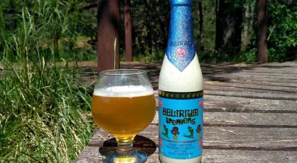 Piwo Delirium Tremens w szklance i butelce, na drewnianym tarasie wśród zieleni.