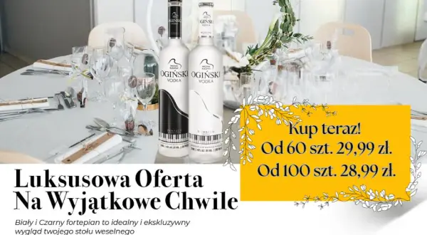 Ile kosztuje karton wódki? Ceny i różnice w ofertach hurtowych
