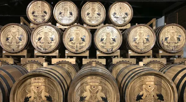 Nestville whisky gdzie kupić - najlepsze miejsca i oferty na rynku
