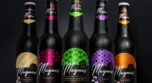 Pięć butelek piwa Magnus z kroplami rosy. Etykiety w różnych kolorach: złoty, różowy, zielony, fioletowy, pomarańczowy. Czy piwo zawiera dużo cukru? To zależy od rodzaju, te piwa są ciemne, warzone z gatunków słodu.