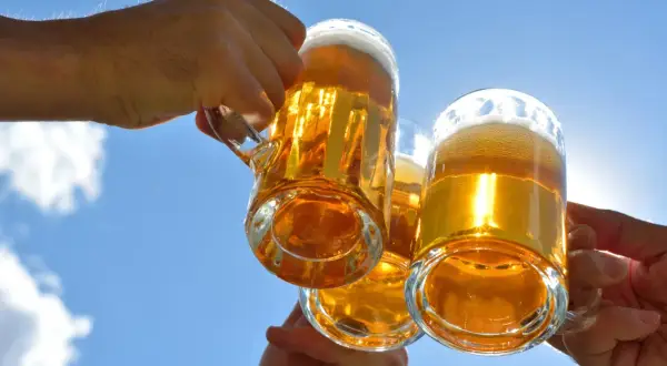 Trzy kufle piwa Żubr wzniesione do toastu pod błękitnym niebem. Ile cukru ma piwo Żubr?