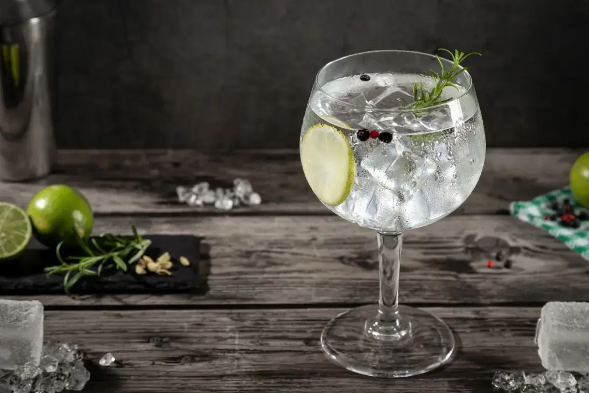 Orzeźwiający drink z tonikiem, lodem, limonką i rozmarynem. Idealny na letnie popołudnie.